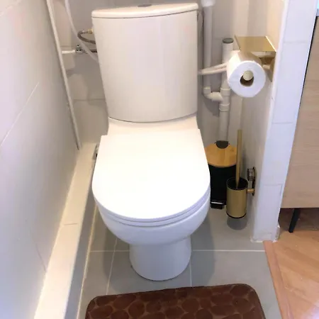 De Reve A Plein Centre , 500m Chateau, 350m Gare Rive Gauche * ורסאי